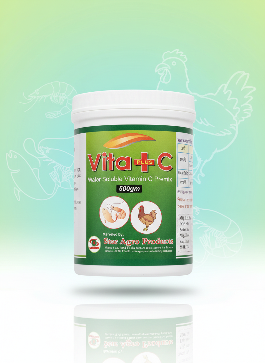 Vita + C (500 GM)